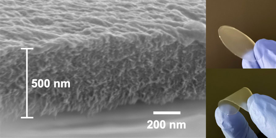 Image Courtesy of the researchers