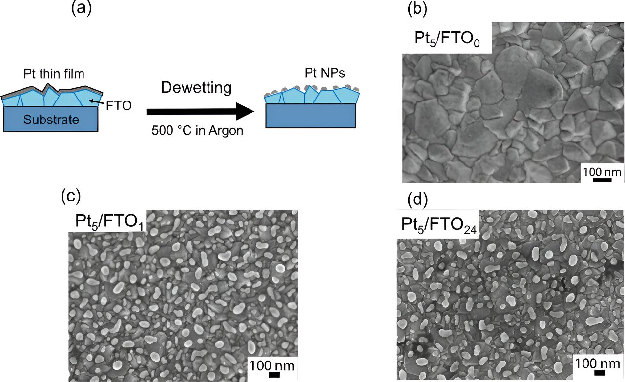 Image Advanced Functional Materials 2024